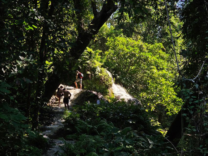 Chiang Mai: Sticky Waterfall Half-Day Tour & Hotel Transfers - Timing that actually works: 4 hours total, 2 hours at the falls