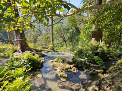 Chiang Mai: Sticky Waterfall Half-Day Tour & Hotel Transfers - Getting there from downtown Chiang Mai: Songthaew pickup and smooth transfers
