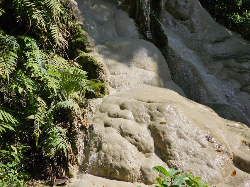 Chiang Mai: Sticky Waterfall Half-Day Tour & Hotel Transfers - Si Lanna National Park: wildlife chances, shade breaks, and year-round water