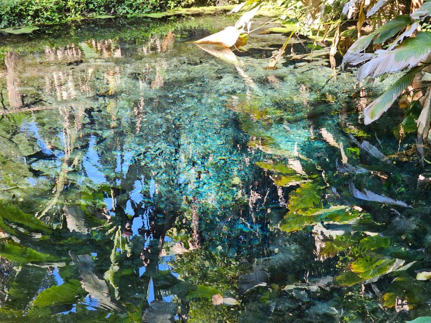 Chiang Mai: Sticky Waterfall Half-Day Tour & Hotel Transfers - What to pack for a slippery climb: swimwear, grip footwear, and a dry exit plan