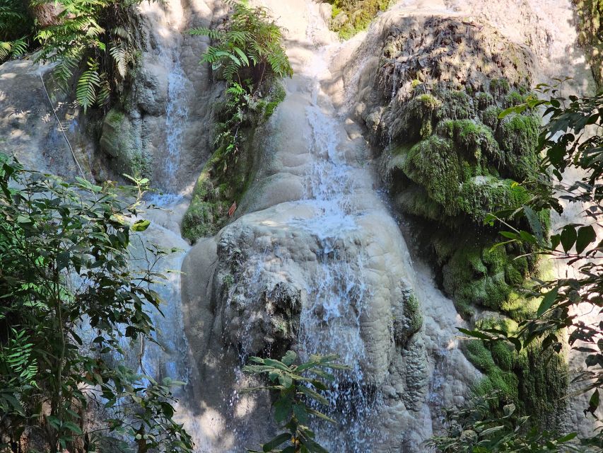 Chiang Mai: Sticky Waterfall Half-Day Tour & Hotel Transfers - Price and value: why $30 can be a bargain or not