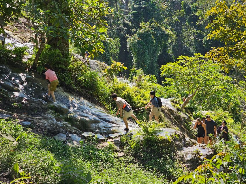Chiang Mai: Sticky Waterfall Half-Day Tour & Hotel Transfers - Should you go morning or afternoon for better climbing?