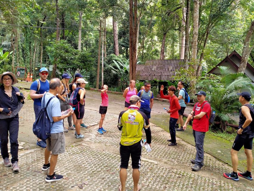 Chiang Mai: Suthep National Park Hiking & DH Mountain Biking - The Key Things That Make This Day Work