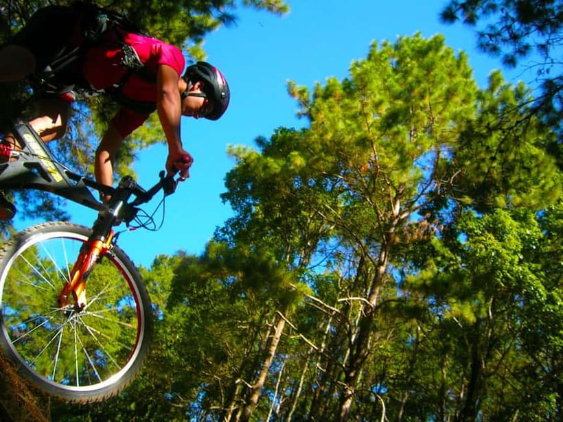 Chiang Mai: Suthep National Park Hiking & DH Mountain Biking - Entering Doi Suthep-Pui: How the Hike and Bike Connect