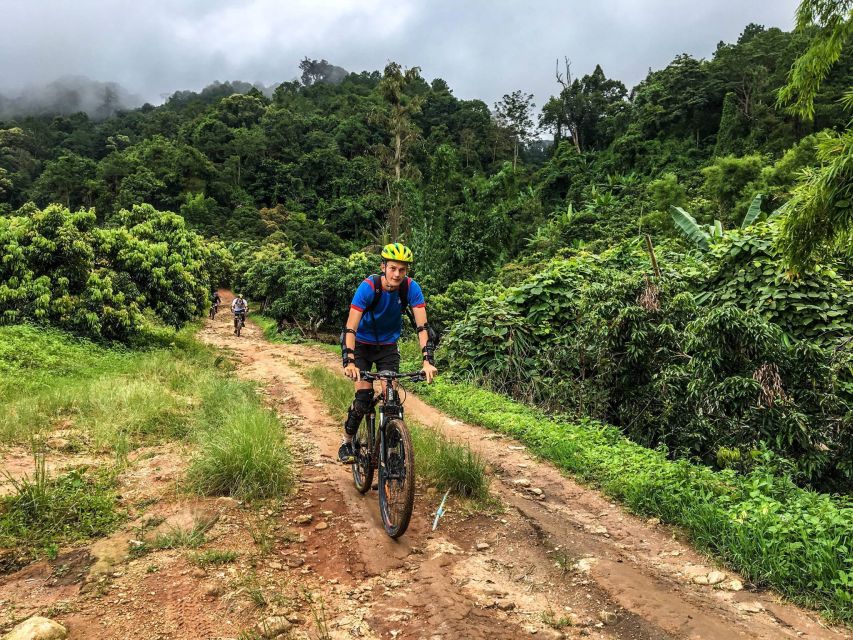 Chiang Mai: Suthep National Park Hiking & DH Mountain Biking - The 3-Hour Jungle Hike to the Hill Tribe Village (1400 m)