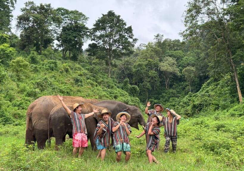 Chiang Mai | TeeTee Elephant Home Elephant Care Half-Day - Key Highlights You’ll Actually Feel