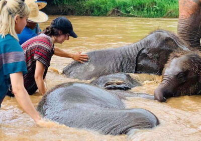 Chiang Mai | TeeTee Elephant Home Elephant Care Half-Day - Getting There From Chiang Mai City (And Why Timing Matters)