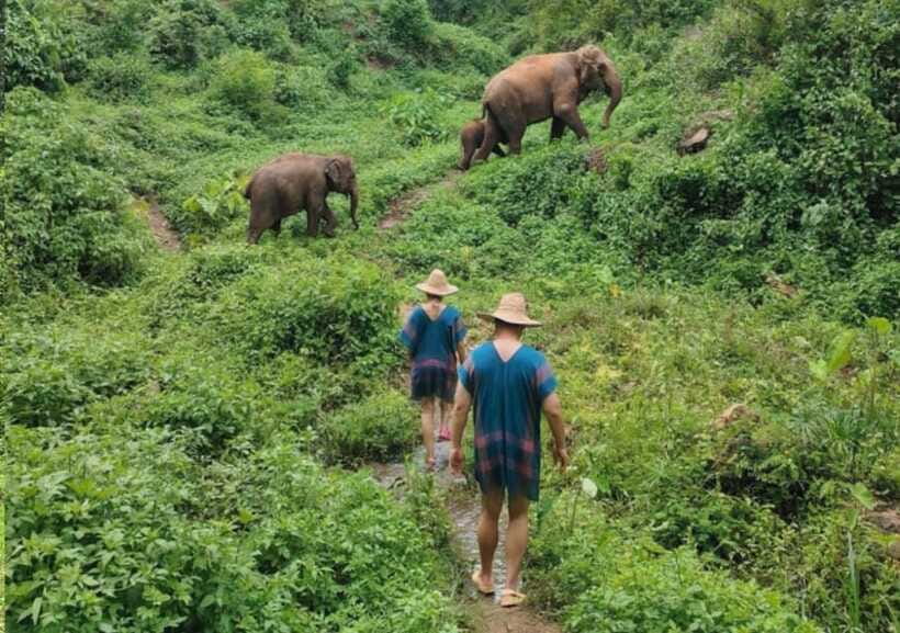 Chiang Mai | TeeTee Elephant Home Elephant Care Half-Day - Outfit, Comfort, and What You’ll Need for a Practical Elephant Day