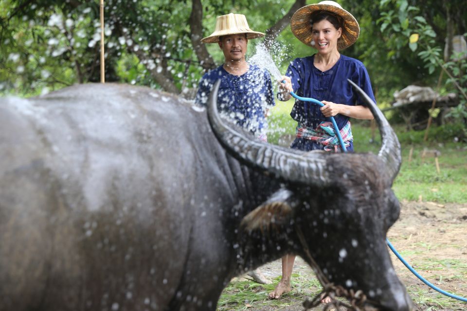 Chiang Mai: Thai Buffalo and Rice Planting Experience - Getting to Hang Tueng: the red taxi pickup and simple meeting point