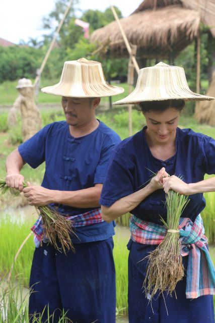 Chiang Mai: Thai Buffalo and Rice Planting Experience - What to wear and bring so the mud doesn’t ruin your photos
