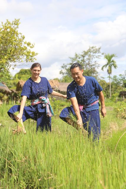 Chiang Mai: Thai Buffalo and Rice Planting Experience - How the 150-minute flow keeps you moving (without feeling rushed)