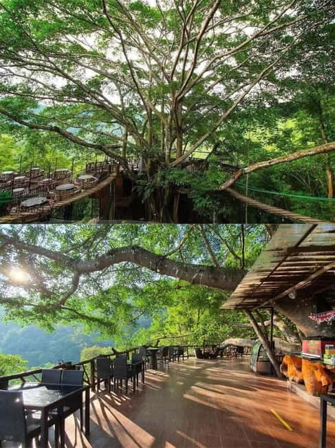 Chiang Mai: The Giant Café & Mae Kampong Village Day Trip - Key highlights you’ll feel right away