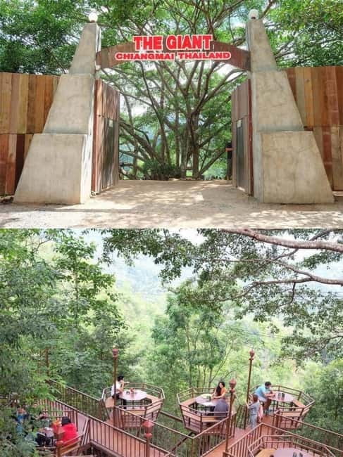 Chiang Mai: The Giant Café & Mae Kampong Village Day Trip - The guide factor: why names like Nine, Eikzy, and Peter show up