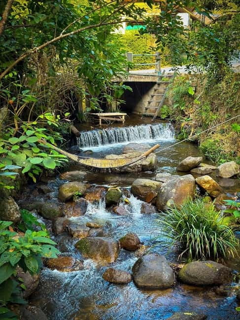 Chiang Mai: The Giant Café & Mae Kampong Village Day Trip - What to bring so the day feels easy