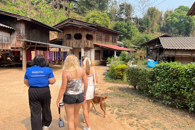 Chiang Mai to Doi Inthanon Full Day Shared Tour - Doi Inthanon National Park plus the easy Ang Ka Nature Trail