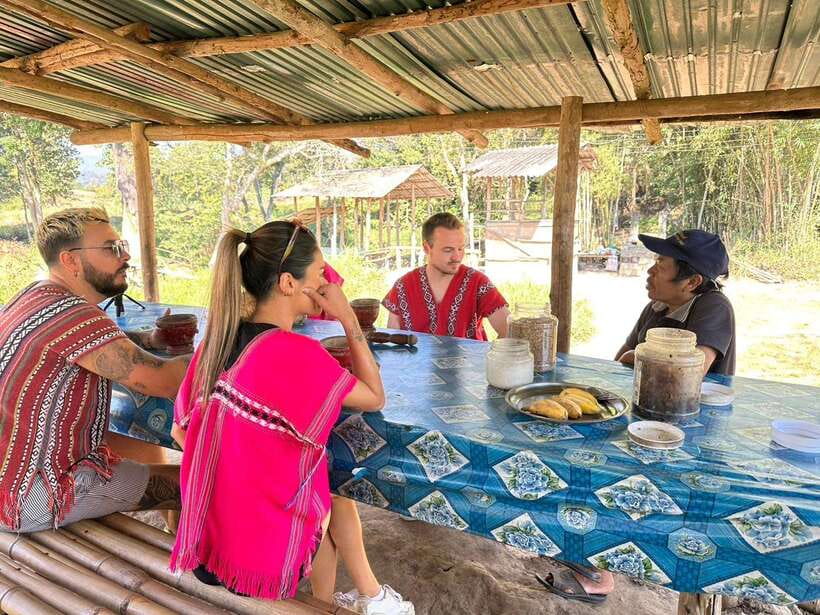 Chiang Mai Untouched Elephant: Nature Walk & Waterfall Trek - Why this tour earns its strong rating