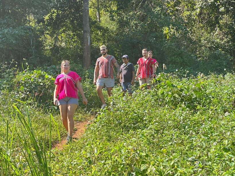 Chiang Mai Untouched Elephant: Nature Walk & Waterfall Trek - Lunch in the village: simple, local, and worth slowing down for
