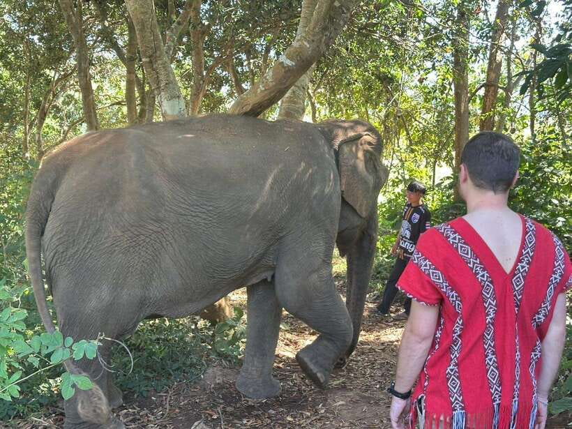 Chiang Mai Untouched Elephant: Nature Walk & Waterfall Trek - Getting from Chiang Mai: the ride matters more than you think