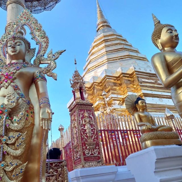 Chiang Mai: Wat Pha Lat & Wat Phra That Doi Suthep Tour - Late-Afternoon Pickup: How This Tour Gets You Out of the Heat
