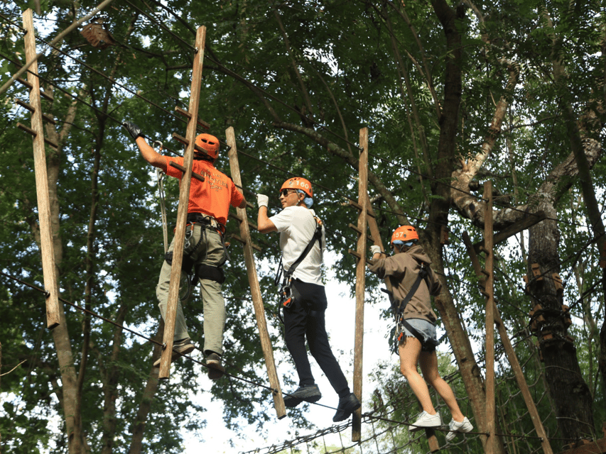 Chiang Mai: Zipline adventure with lunch & city hotel pickup - My Booking Advice: When This Tour Makes Sense