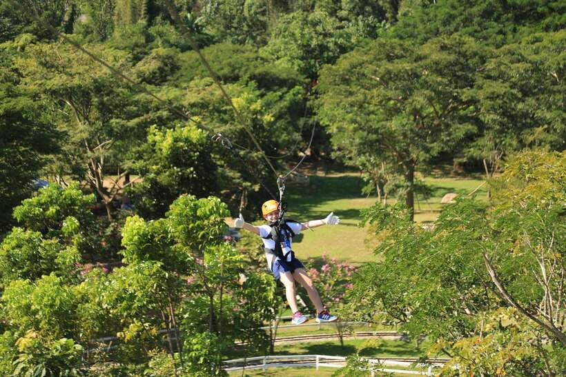 Chiang Mai: Zipline & High Rope Park with Lunch & Transfer - Tiny Train Through Flowers and the Sheep Farm (Plus Feeding Fish and Sheep)