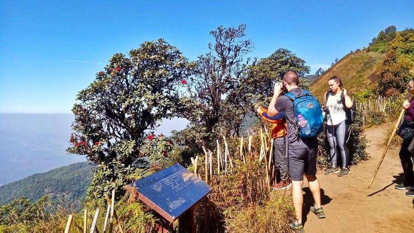 Chiang Mai:Doi Inthanon National Park & Hike at Kew Mae Pan - Key highlights you’ll feel on the day