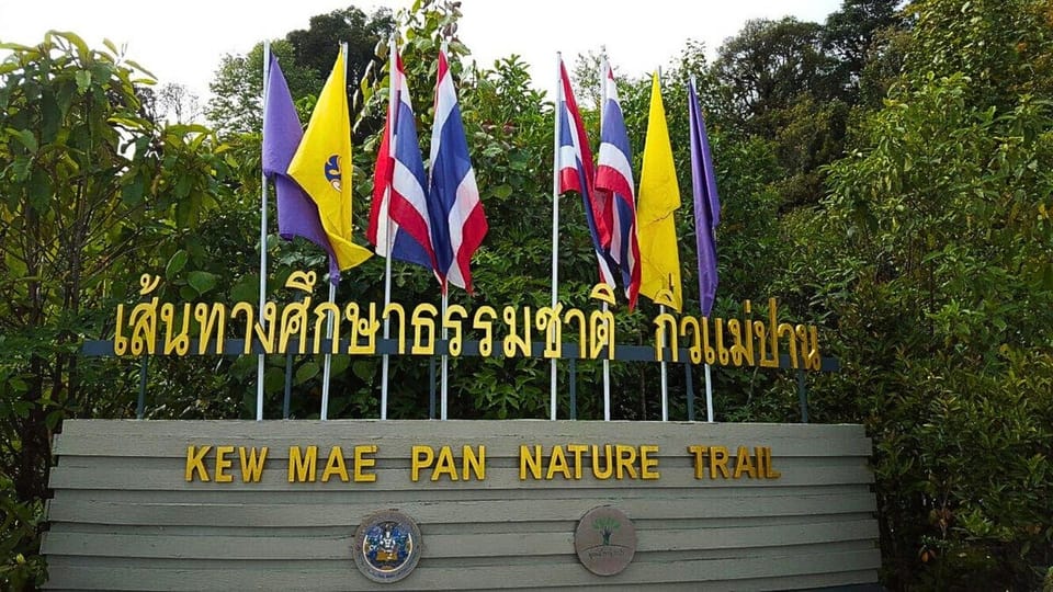 Chiang Mai:Doi Inthanon National Park & Hike at Kew Mae Pan - Lunch up in the day: what you get and how to choose