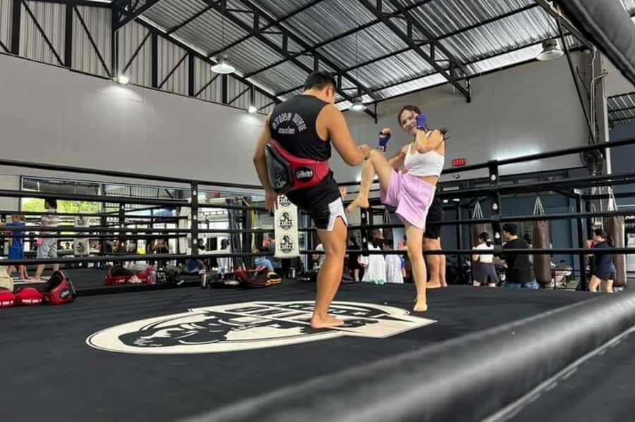 Chiangmai : Muay Thai Training academy - Choosing between gyms: a small decision with big impact
