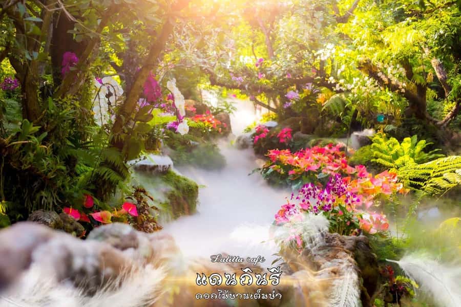 Chiangmai to Chiangrai: 3 Temples, Hot Springs& Lalitta Cafe - Key highlights worth your attention