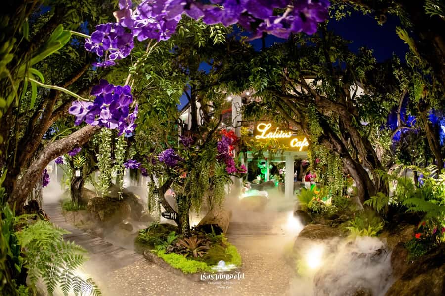 Chiangmai to Chiangrai: 3 Temples, Hot Springs& Lalitta Cafe - Lalitta Cafe: Fairytale Gardens, Waterfall Views, and Using Your Drink Ticket