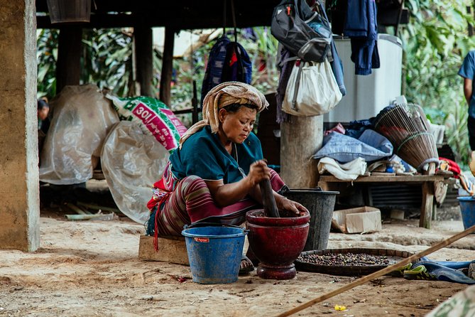 City Escape: Doi Inthanon & Karen Village Private Day Trip - Doi Inthanon National Park: trails, waterfalls, and temple time