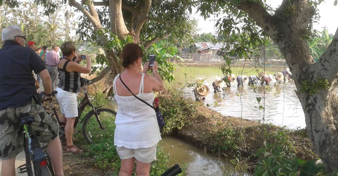 Colors of Chiang Mai Guided Bicycle Tour - Temples, Buddhism Talks, and a 700-Year-Old Chedi Stop