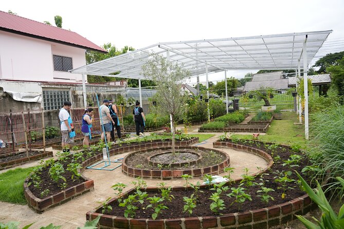 Cooking Class with Organic Farm in Chiang Mai at Mama Noi - Price and time: $32.61 for a full meal plus pickup