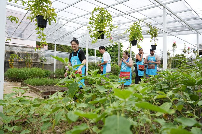 Cooking Class with Organic Farm in Chiang Mai at Mama Noi - The hotel pickup and the market lesson: where the day starts to click