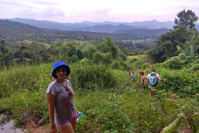 Doi Inthanon Day Trip:Twin Pagodas,Soft Hiking,Coffee Plantation - Why Doi Inthanon packs so much into one day