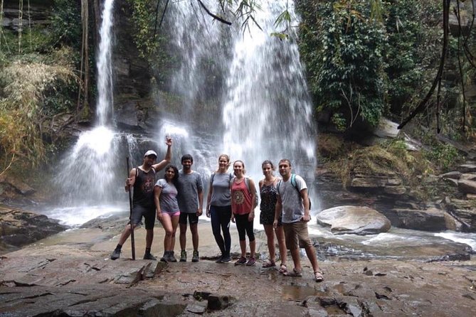 Doi Inthanon Day Trip:Twin Pagodas,Soft Hiking,Coffee Plantation - Wachirathan Falls: waterfall time with actual staying power