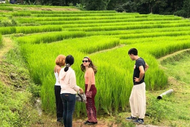 Doi Inthanon Day Trip:Twin Pagodas,Soft Hiking,Coffee Plantation - Hmong community market plus countryside views: culture in motion