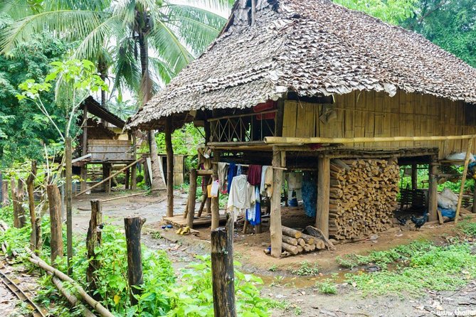 Doi Inthanon Discovery Tour: Waterfalls, Villages & Highest Peak - Logistics that matter: mobile ticket, timing, and the group limit