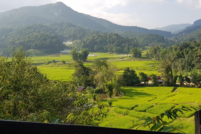 Doi inthanon National Park + 2Hour Fantastic Trekking with Lunch - Lunch and Refreshments: Vegetarian Options and Real-Life Expectations
