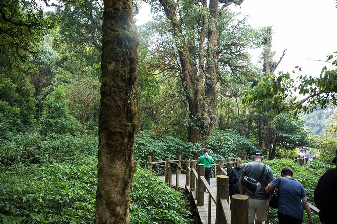 Doi Inthanon National Park Eco-Friendly Full Day Tour - Stop-by-stop: highest peak, boardwalk nature trail, and twin royal stupas