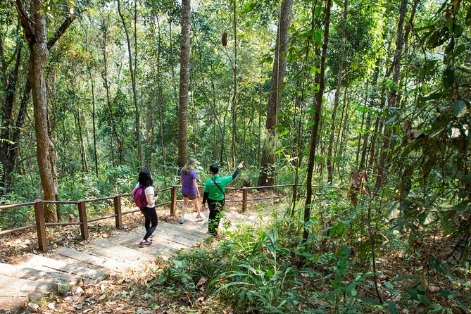 Doi Inthanon National Park Eco-Friendly Full Day Tour - Mae Klang Luang homestay: Hmong coffee brewing and cultural time