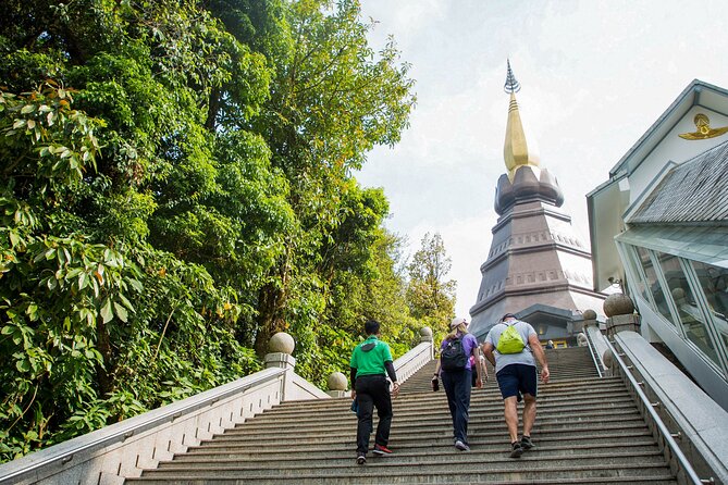 Doi Inthanon National Park Private Tour – Full Day - Angka Nature Trail: a short cloud-forest walk without committing to a long hike