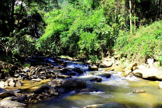 Doi Inthanon National Park, Waterfall & Royal Project Day Tour From Chiang Mai - Lunch on the mountain roads: what’s included and what to watch for