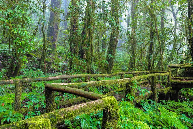 Doi Inthanon National Park, Waterfall & Royal Project Day Tour From Chiang Mai - Price and value: $31.75 plus the real pay-at-the-gate fees