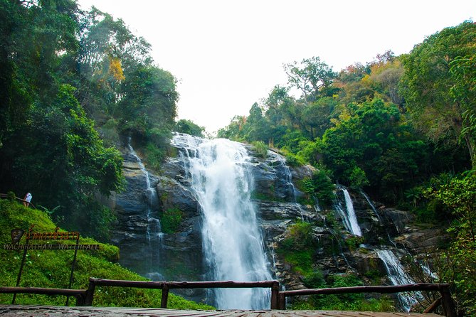 Doi Inthanon National Park with Nature Trail Trekking 1-Day Tour - Stop 5 and 6: Your seasonal trek choice (2 hours, moderate, sometimes slippery)