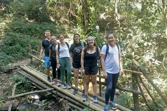 Doi Inthanon Private Tour with Trek & Lunch from Chiang Mai - Morning in the park: first stop at Doi Inthanon