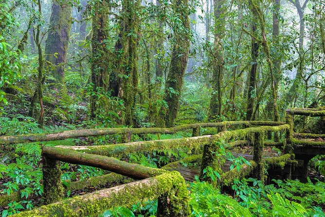 Doi Inthanon Waterfall and Royal Project Chiang Mai - Karen Hilltribe Village: Culture Stop Plus a Real Hike Option