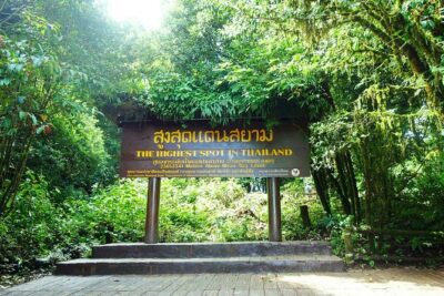 Doi Inthanon Waterfall and Royal Project Chiang Mai - Ang Ka Nature Trail Boardwalk: Easy Rainforest Footing