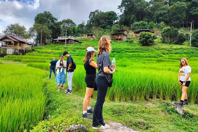 Doi Inthanon Waterfall and Royal Project Chiang Mai - Royal Project Stop at the Hmong Market: What You’re Seeing and Why It Matters