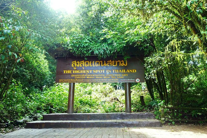 Doi Inthanon Waterfall and Royal Project Chiang Mai - Ang Ka Nature Trail Boardwalk: Easy Rainforest Footing